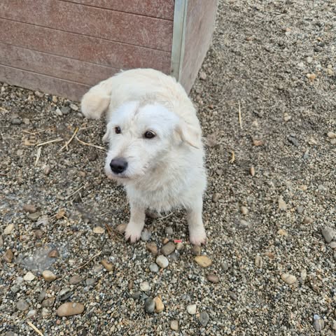 598579290 2703641653353653 5116676758629284681 n