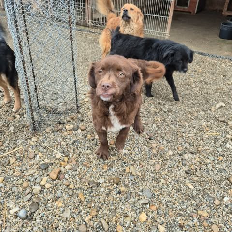 598618433 2703650136686138 6737966364155512944 n