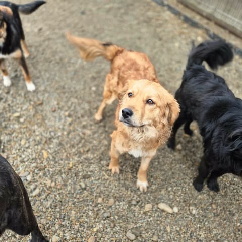 598620243 2703637163354102 3798426170339910631 n