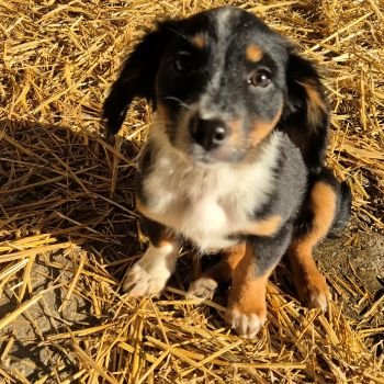 598621600 1315392990610016 5846786143794129175 n