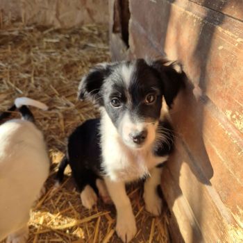 598627097 870027538964840 3584226686459003227 n