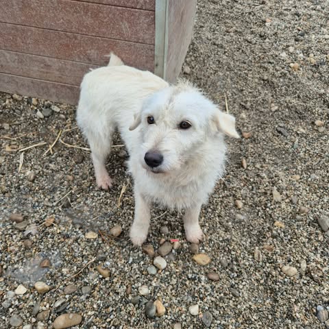 598634534 2703641606686991 7044594461713737895 n