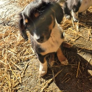 598641076 1226929945963584 118472516000782533 n