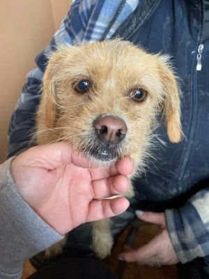 598650877 1385756149922327 5565282153108712518 n