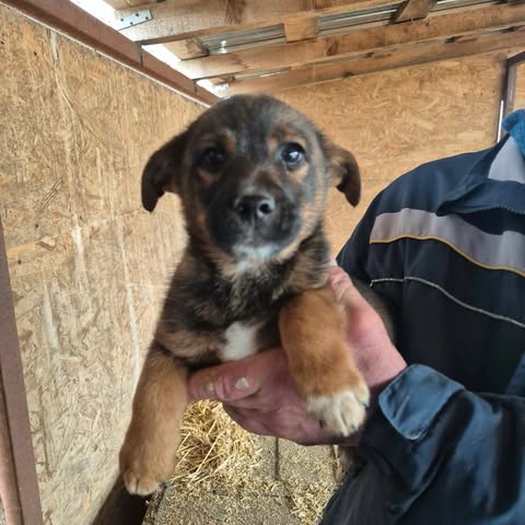 598655017 1541166143755789 5286882745256538739 n