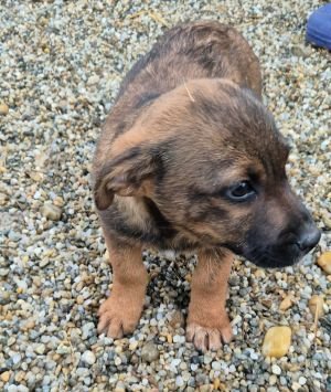 598656088 832444393127088 126374483191145614 n