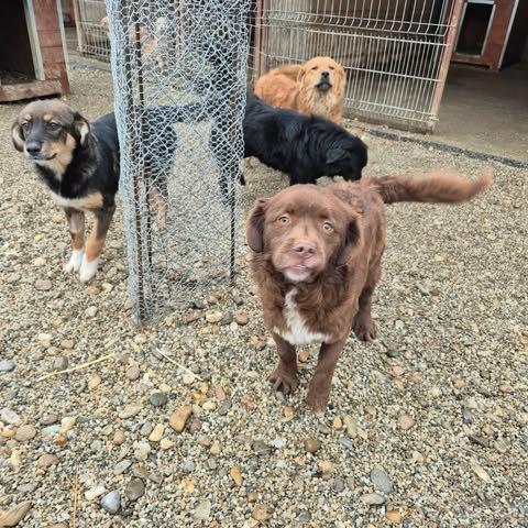 598656711 2703650130019472 8375195273683484590 n