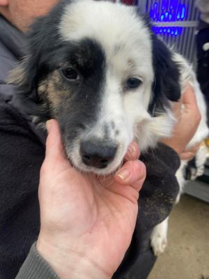 598666639 1224707105872904 4003044939554076666 n