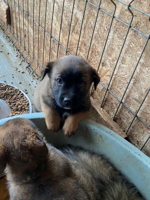 598671745 1949848223080235 22331850523027568 n