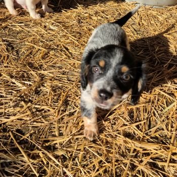 598691520 2118601175544966 844533259698186879 n