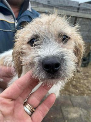 598703633 2119849102152519 8827233713872668177 n