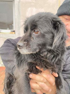 598714541 1584911825848360 921959862018330582 n