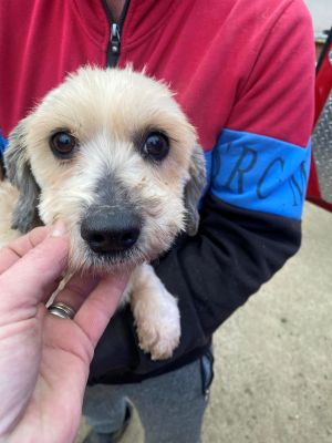 598781402 25438025355816660 7120945967276362933 n