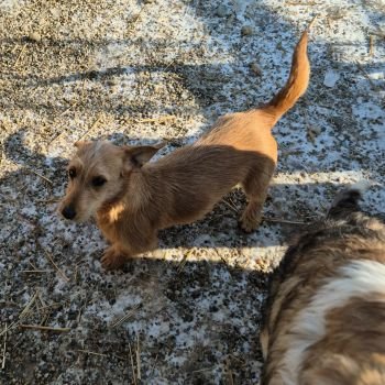 598798360 1217140443955297 2137966026861118277 n