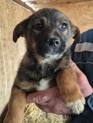 598810054 861199740105507 8464807557200692468 n