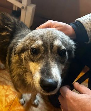 598815380 25447934904847096 8058702396176960425 n