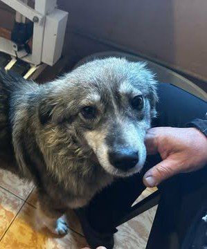 598815380 25447934918180428 7896286989040839518 n