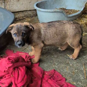 598828559 2265081534021181 3881182401847722753 n