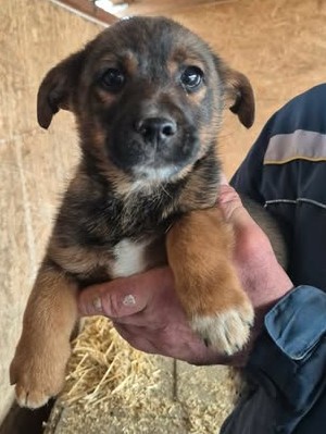 598865235 855893710549397 822540442079032061 n