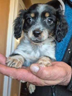 598883730 25508259082148011 923845544561988351 n