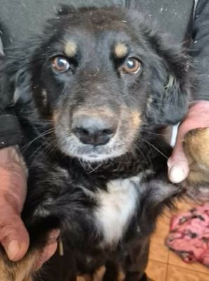 598901900 25502410086066244 6613714732177531238 n