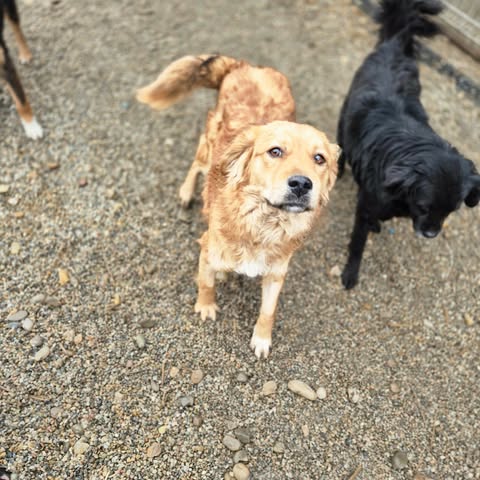 598933062 2703637230020762 1056288360248241571 n