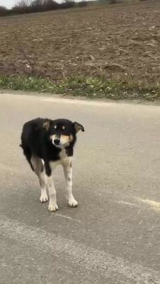 598937178 2090621931763960 3207847158877443593 n