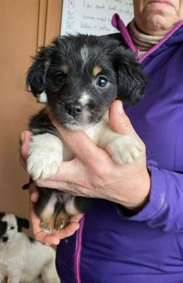 598952637 25508447975462455 4761647209689411884 n