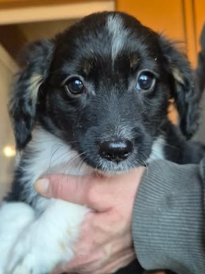 598965825 25508422772131642 1678910842375584142 n