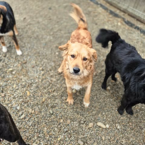 599100526 2703637166687435 6783216115797202140 n