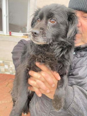 599344299 1787572528591174 1078691278656500216 n