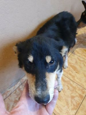 599466119 25448025154838071 7823768859618632320 n