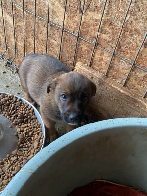 599469617 839295105386189 6316530414053816861 n