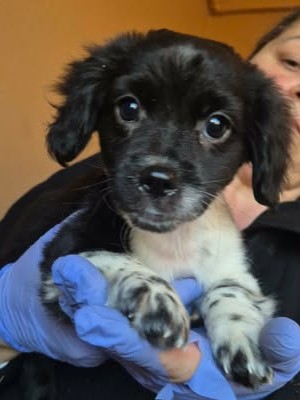 599596140 25508386762135243 4679808604687996441 n