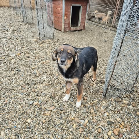 599930198 2703634933354325 8833156510912868425 n