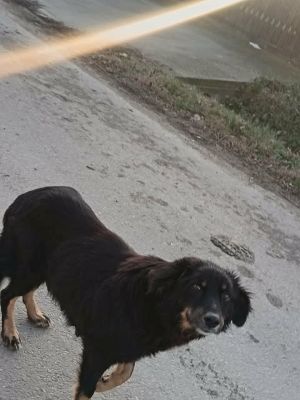 599948788 25502410602732859 4662040190252923 n