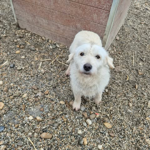 600217432 2703641603353658 2061490515216744977 n