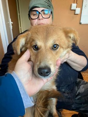 600225187 25447855498188370 7768080048758043196 n