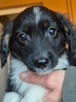 600321031 25508421835465069 882338001465865231 n