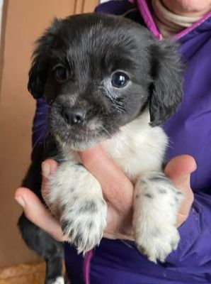 600335161 25508387065468546 894559208846079319 n