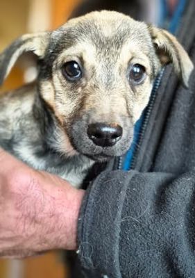 600392043 25508132785493974 4513028462371264834 n