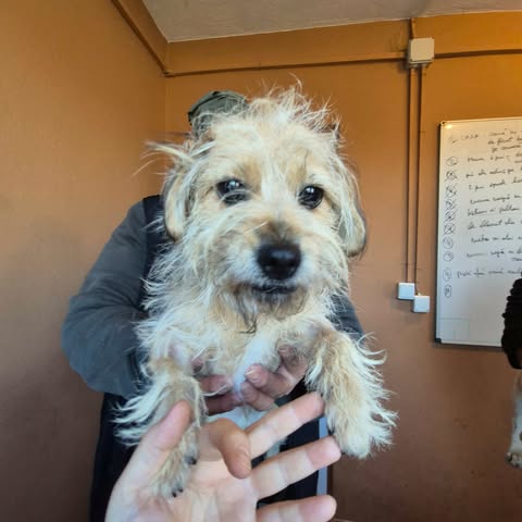 600413557 25509893088651277 8287171907745821243 n