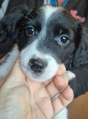 600498884 25508294548811131 1437070551659376306 n