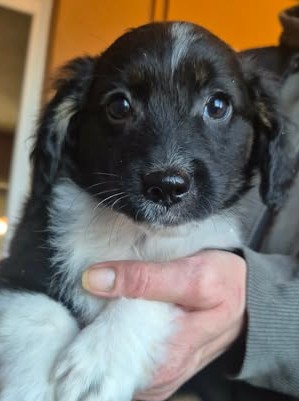 600514016 25508422088798377 2135968055886484659 n