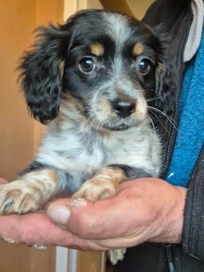 600521995 25508259048814681 1185883492122423856 n