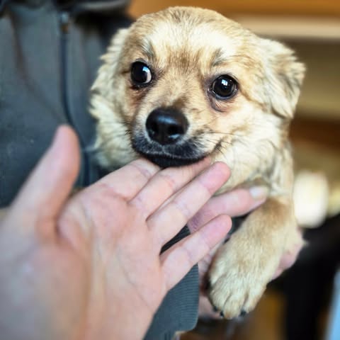 600527161 25509640628676523 6945699252432052045 n