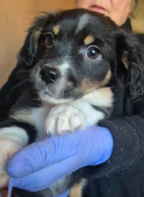 600527573 25508482915458961 5732432645199571411 n