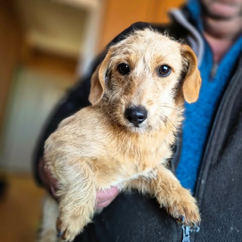 600538537 25509721022001817 7041882714940540133 n