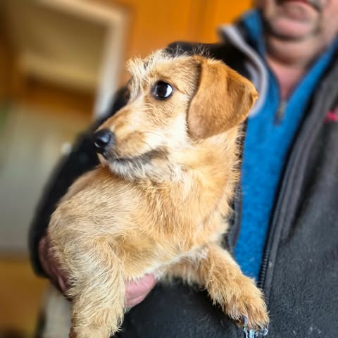 600548985 25509720785335174 4644685916080137121 n