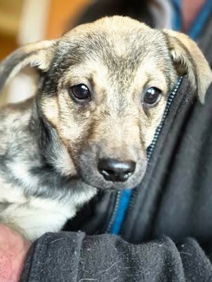 600550871 25508132978827288 4750544566096972943 n